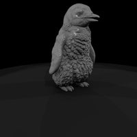 ant-126-emperor-penguin-adolescent-005fe0 — thumbnail 4