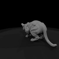 ant-146-cougar-female — thumbnail 3