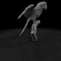 ant-283-scarlet-macaw-male — thumbnail 3