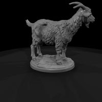 ww-0303-animal-goat — thumbnail 3