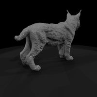 ant-157-eurasian-lynx-male — thumbnail 3