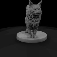 anim-16-maine-coon-cat-4bc6da — thumbnail 3