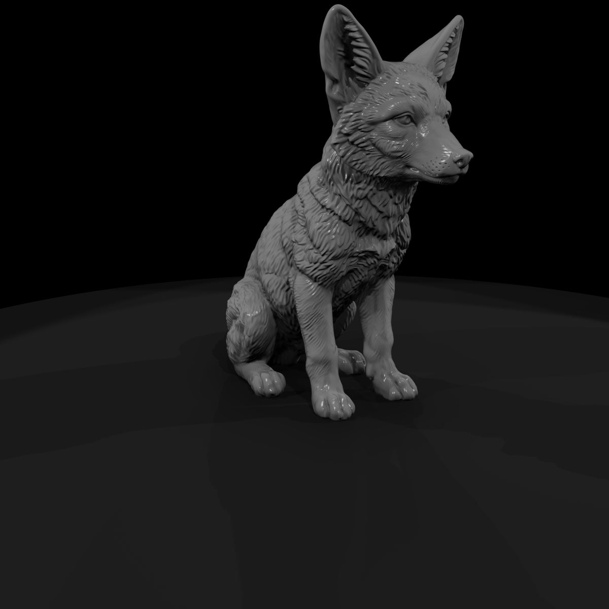 ant-171-coyote-adolescent