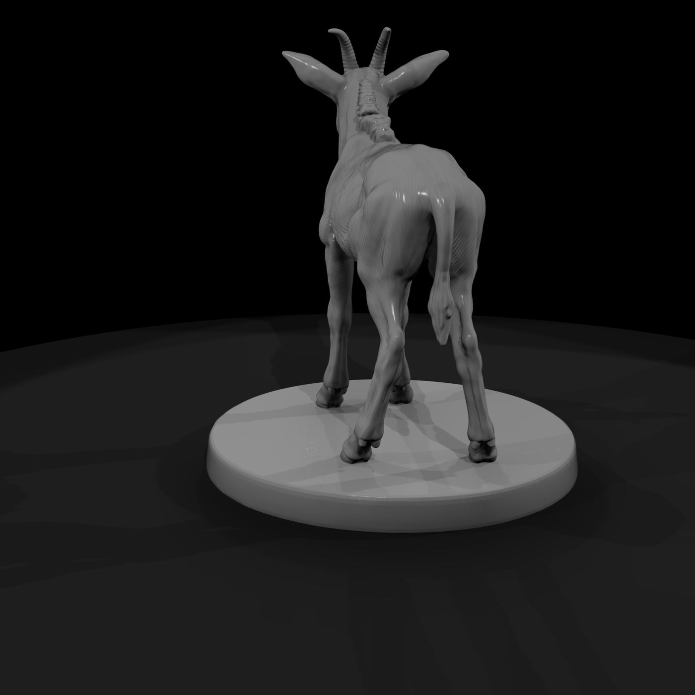 ant-234-sable-antelope-adolescent