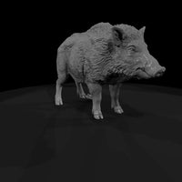 ant-074-wild-boar-female — thumbnail 3