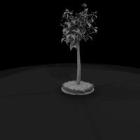 stylized-birch-tree-low-poly-diorama-tree-209959 — thumbnail 4