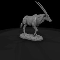 ant-230-gemsbok-female — thumbnail 3