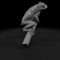 stylized_3d_tree_frog_on_branch_chjuomkt — thumbnail 3