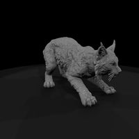 ww-0319-animal-bobcat — thumbnail 3