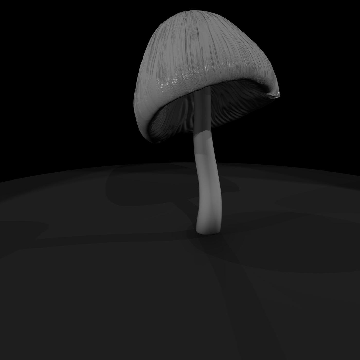 conical-wild-mushroom-diorama-terrain-400252