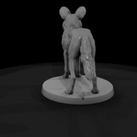 ant-166-african-wild-dog-male — thumbnail 3