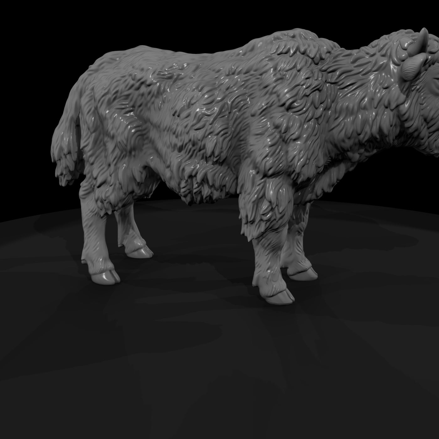 ant-276-yak-adolescent