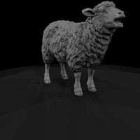 ww-0304-animal-ewe — thumbnail 3