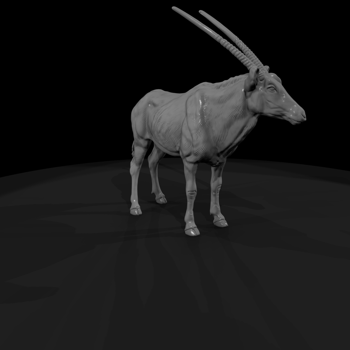 Ant 229 Gemsbok Male