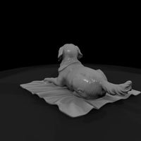family-dog — thumbnail 5