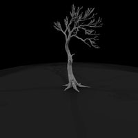 20260612-bare-tree-drawing-ab7bf01d44 — thumbnail 3