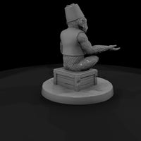 cir-124-animal-organ-grinder-monkey — thumbnail 3