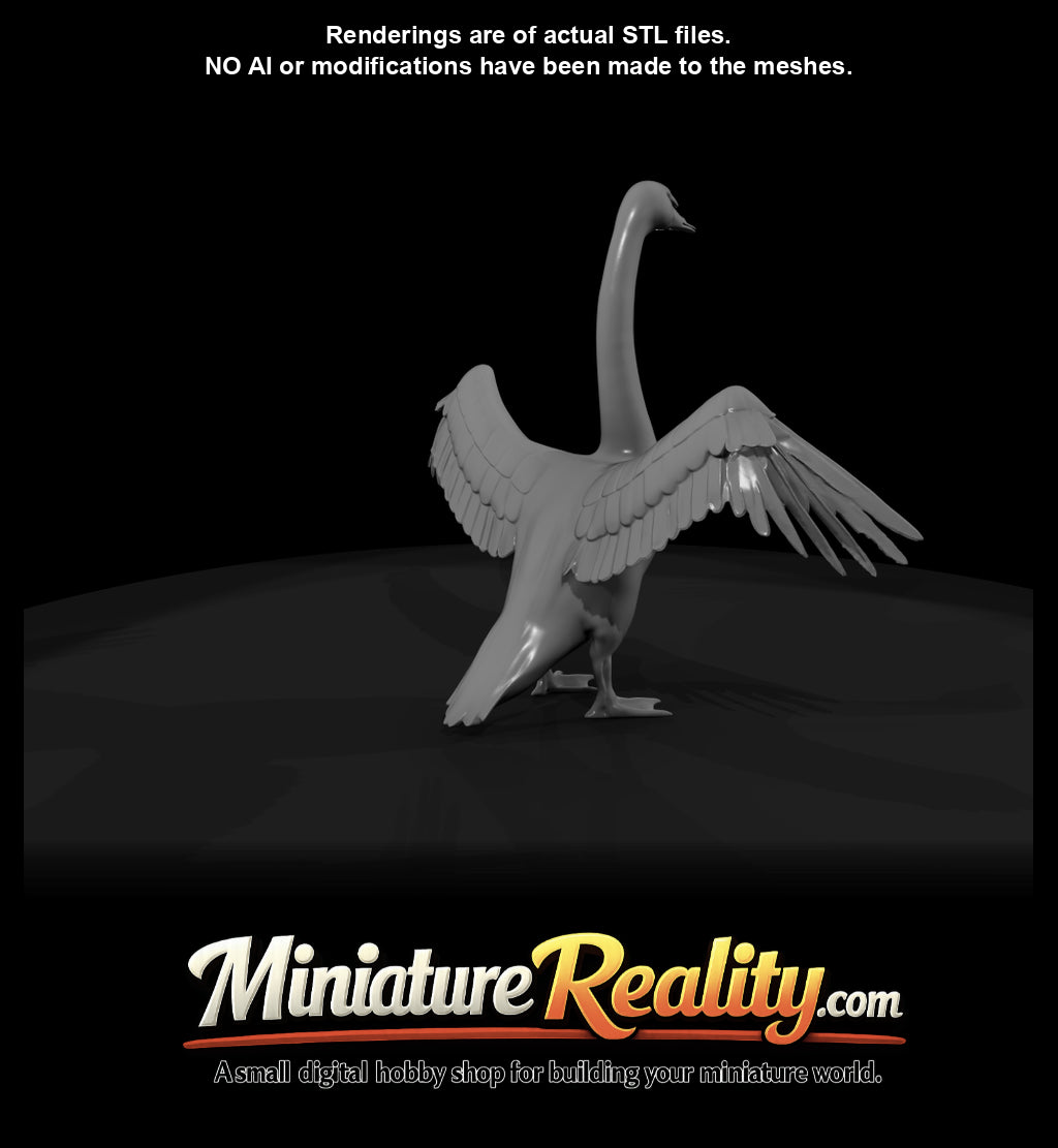 swan-spreading-with-wings-estimated