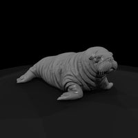 ant-144-walrus-adolescent — thumbnail 3