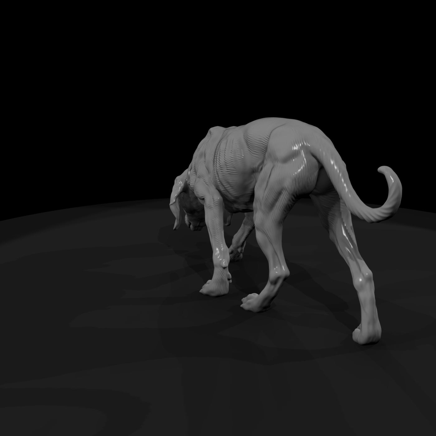 ww-0307-animal-hound-dog