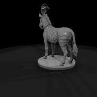 cir-123-animal-zebra — thumbnail 3