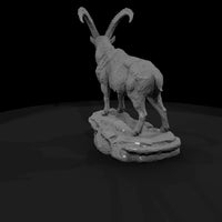 ant-277-alpine-ibex-male — thumbnail 3