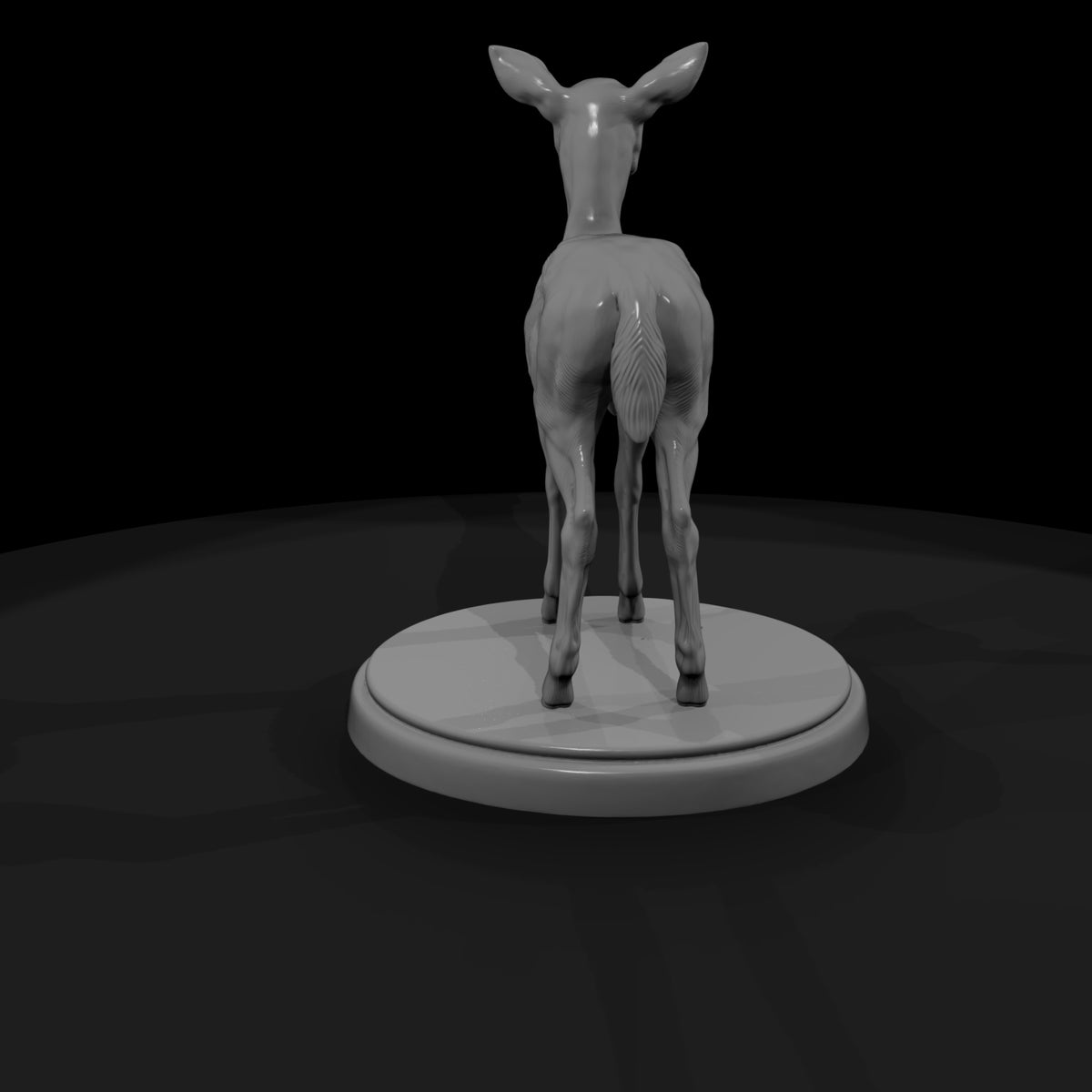 ant-066-impala-adolescent