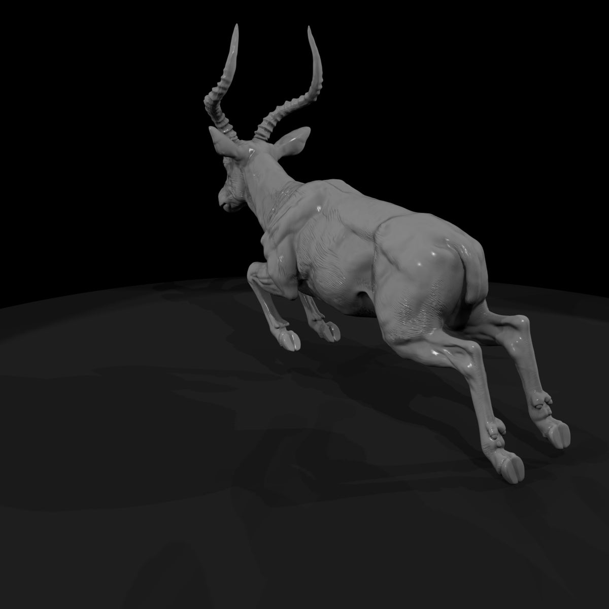 ant-064-impala-male