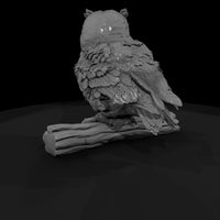 ant-120-great-horned-owl-adolescent — thumbnail 3