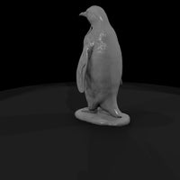 ant-125-emperor-penguin-female — thumbnail 3