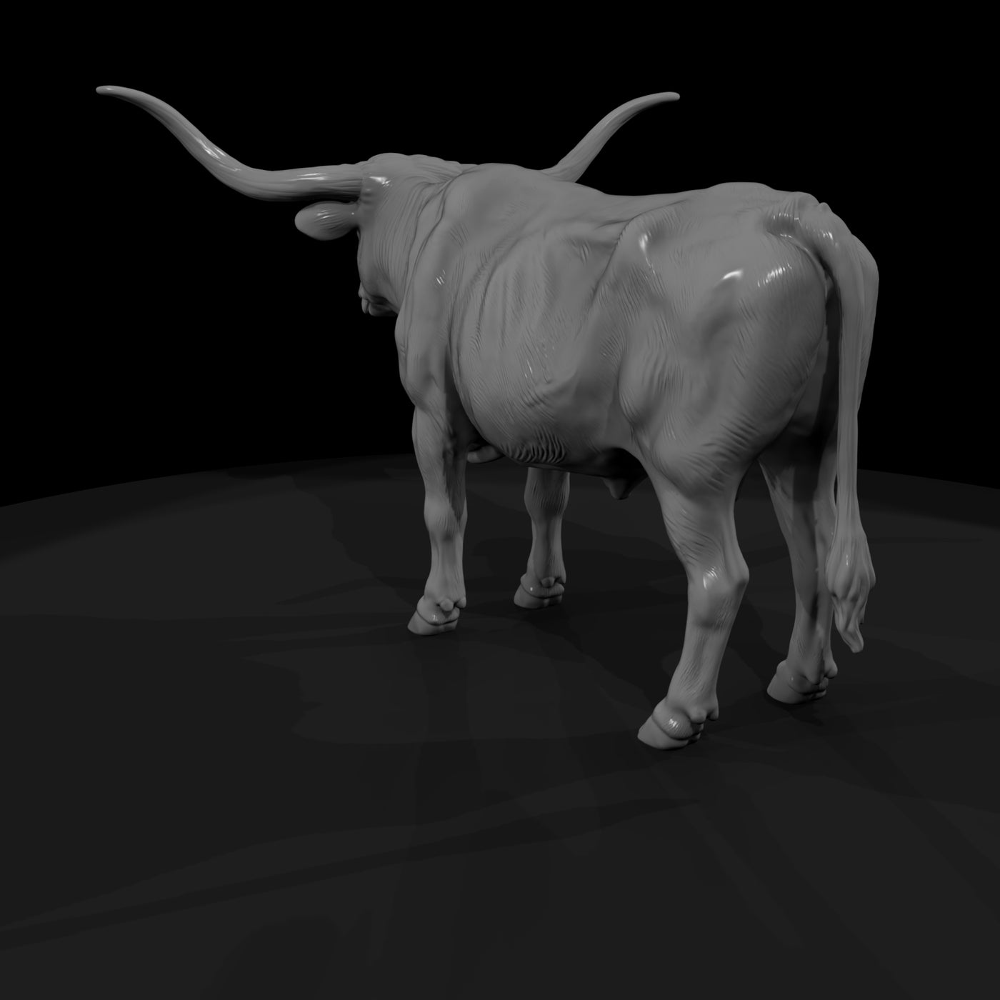 ww-0295-animal-longhorn-cow