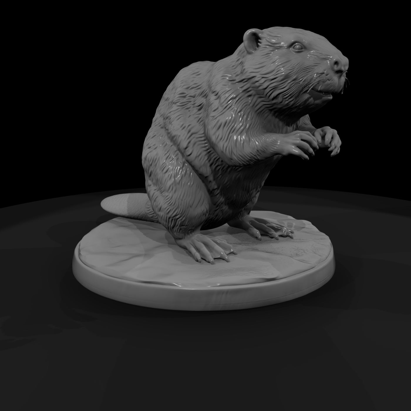 ant-188-beaver-female