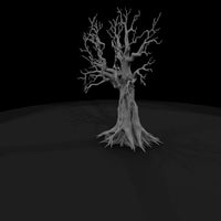 20260612-gnarled-leafless-tree-roots-ed5ca2ae15 — thumbnail 3