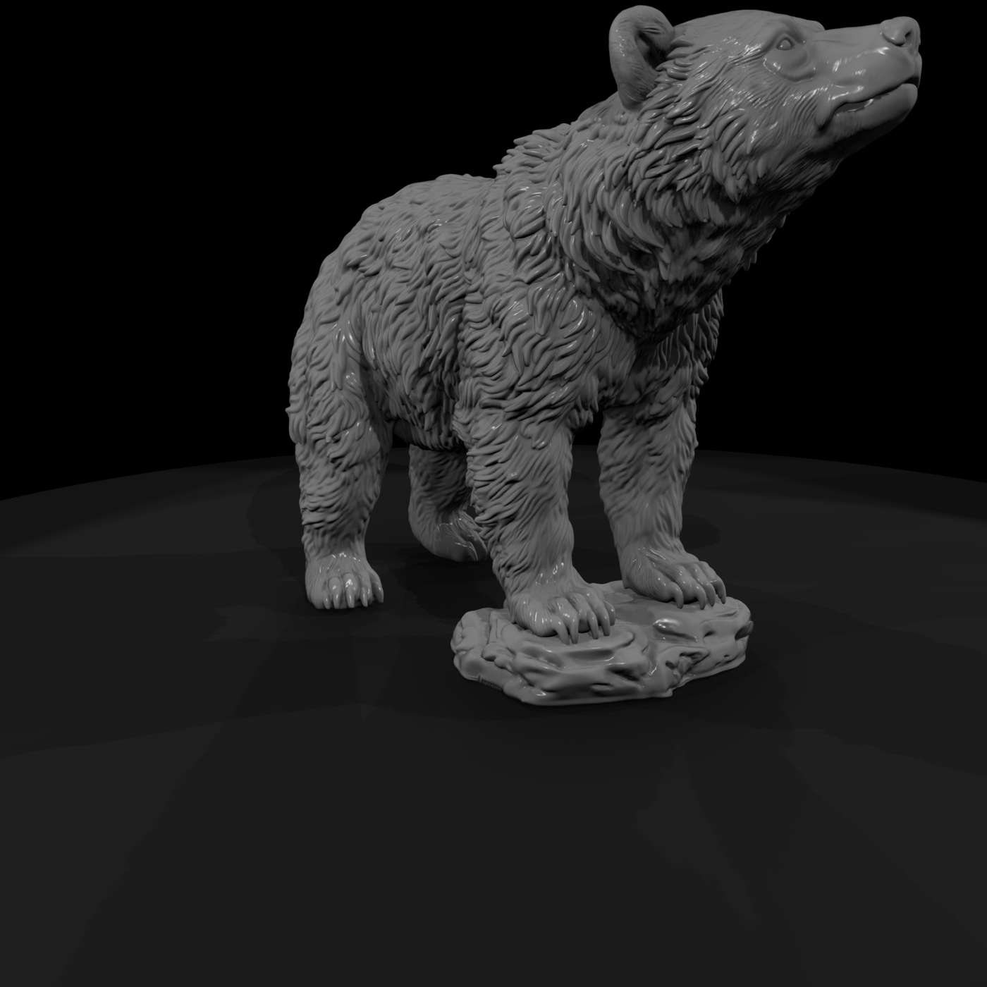 Young Grizzly Bear on Rocky Base
