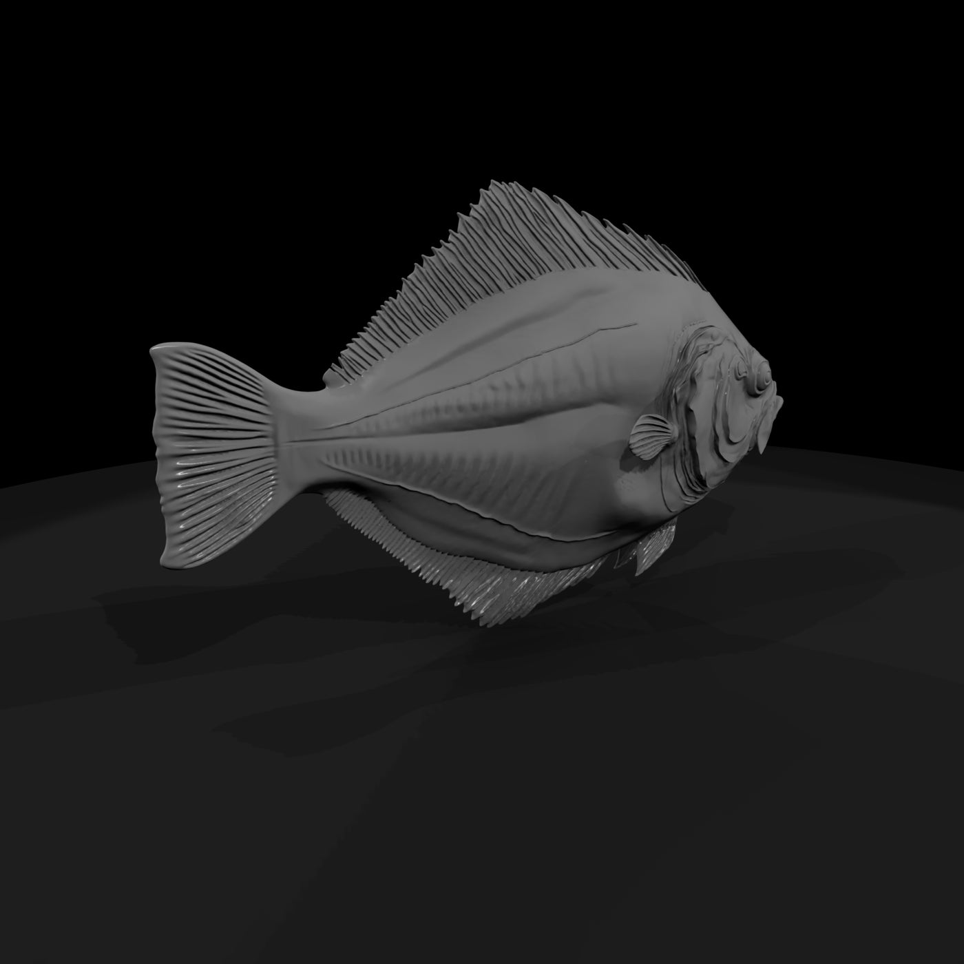 flounder-miniature-for-dioramas-aquariums-543845