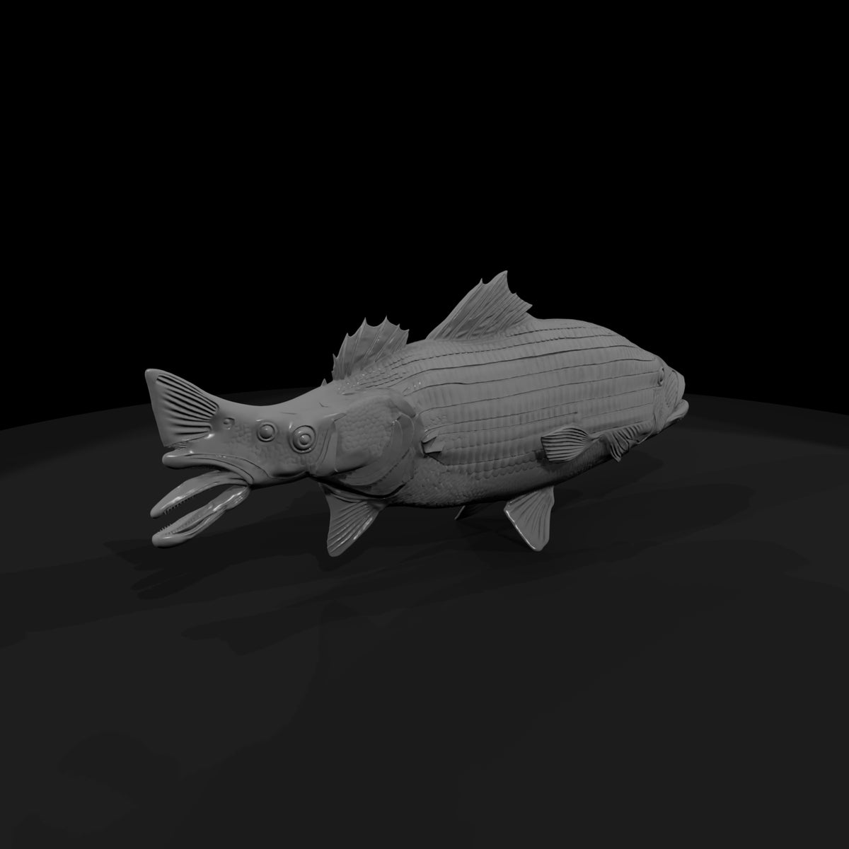 stylized_striped_bass_3d_fish_model_nan68mvk
