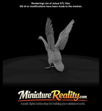 swan-landing — thumbnail 3