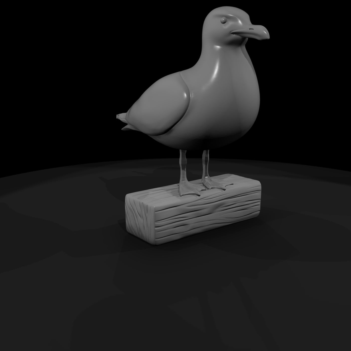 seagull