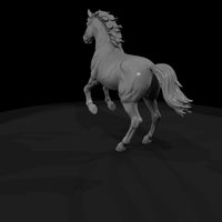 pinto-pony — thumbnail 5