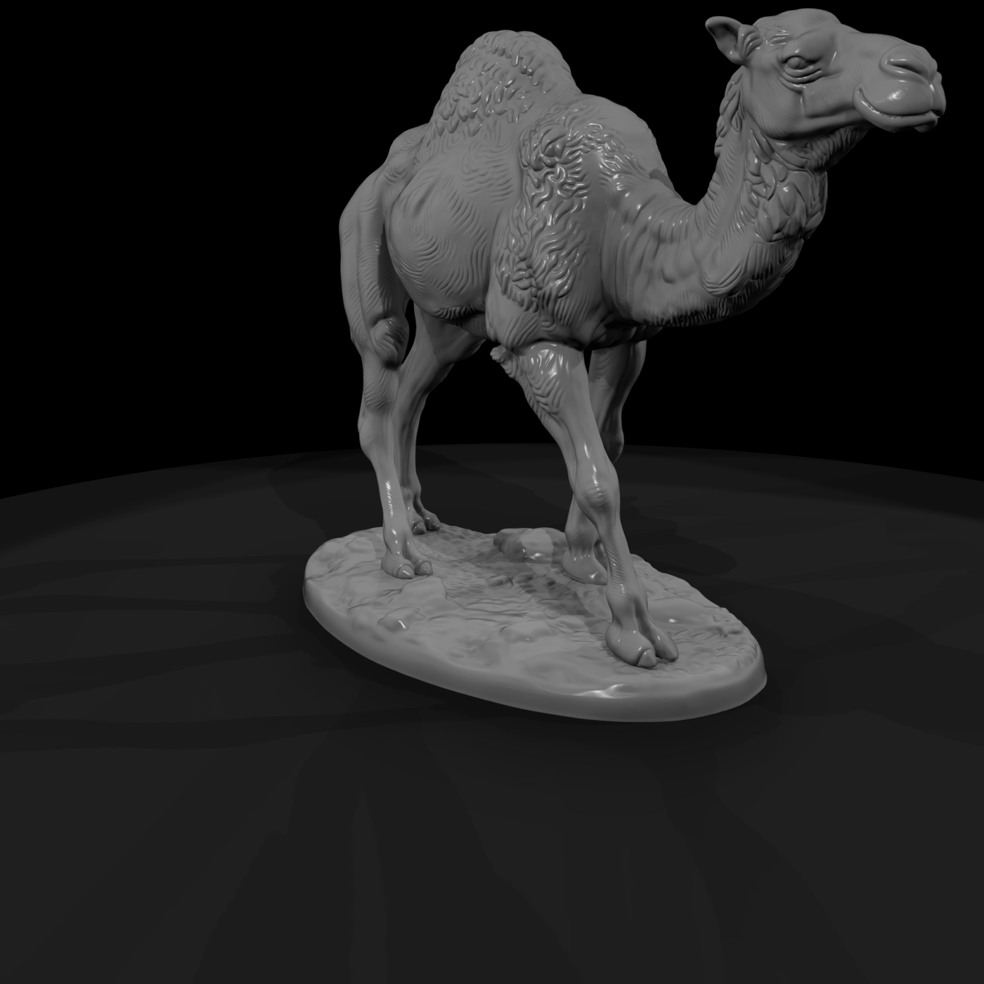 Ant 215 Dromedary Camel Female