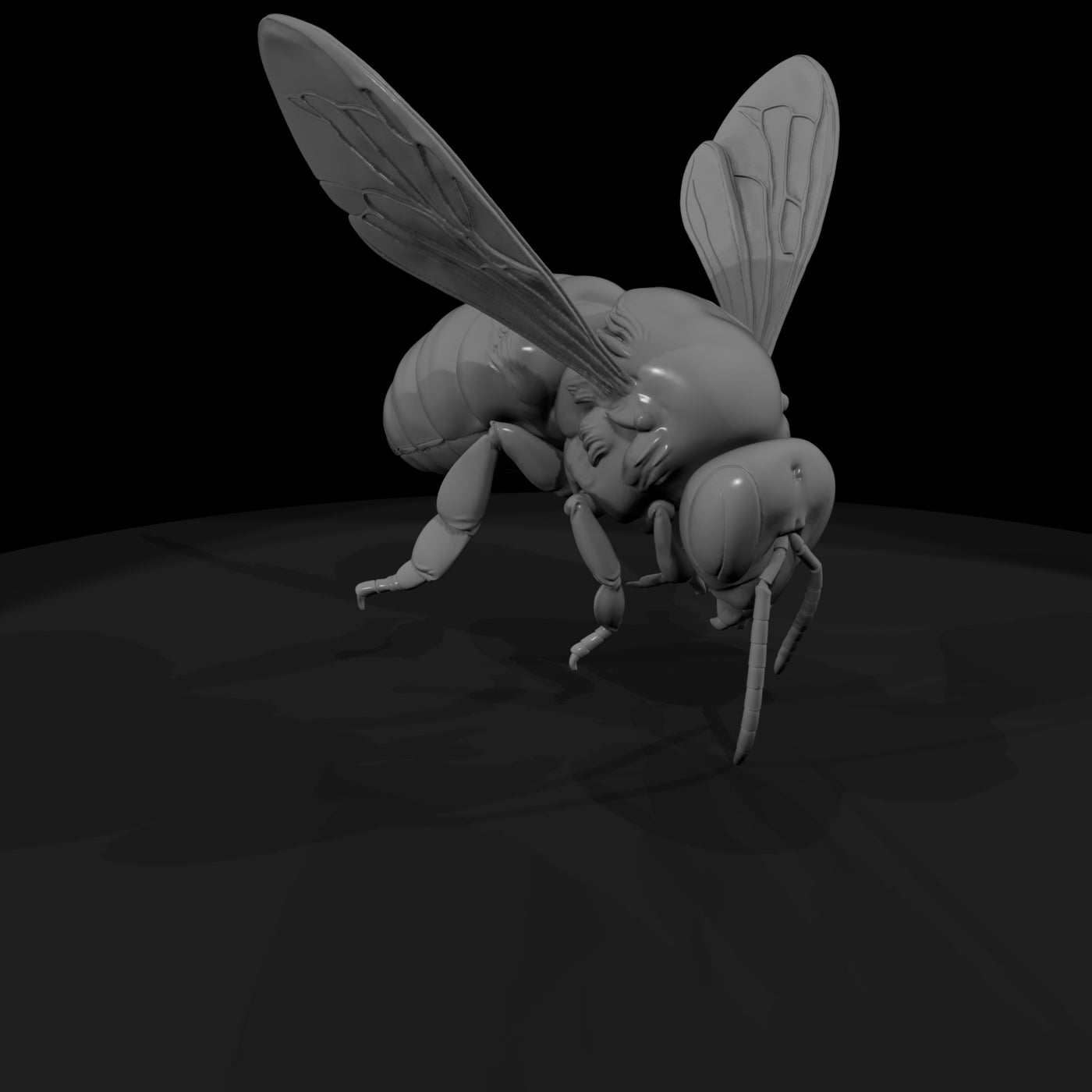 honey-bee-miniature-detailed-landing-pose-for-dioramas-displays-650462