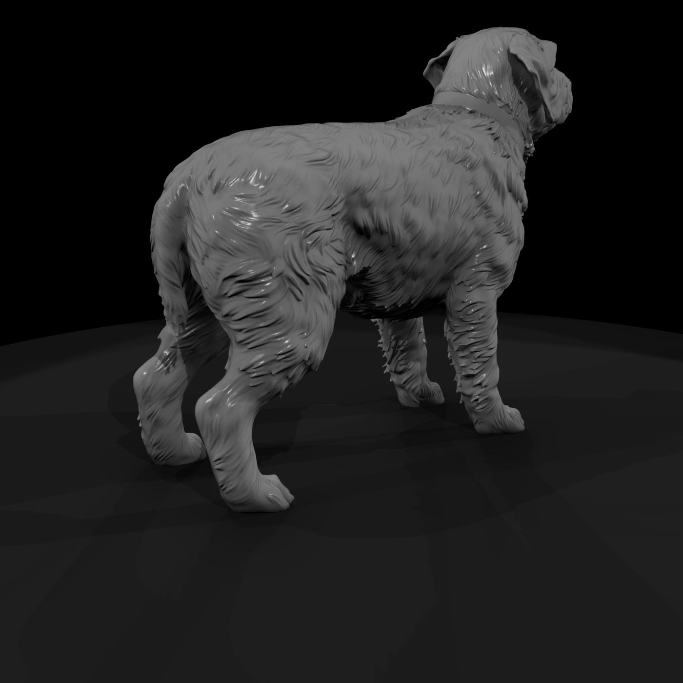 hunting-dog