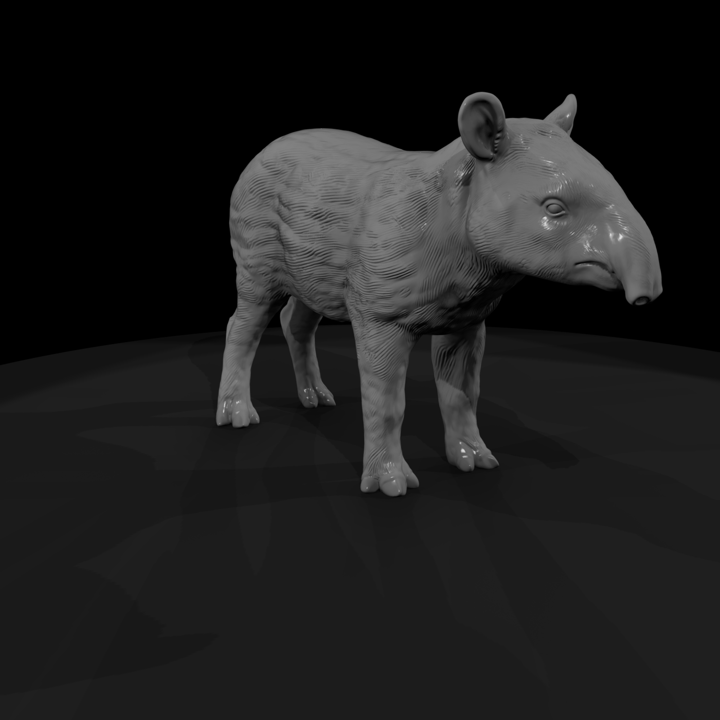 Malayan Tapir