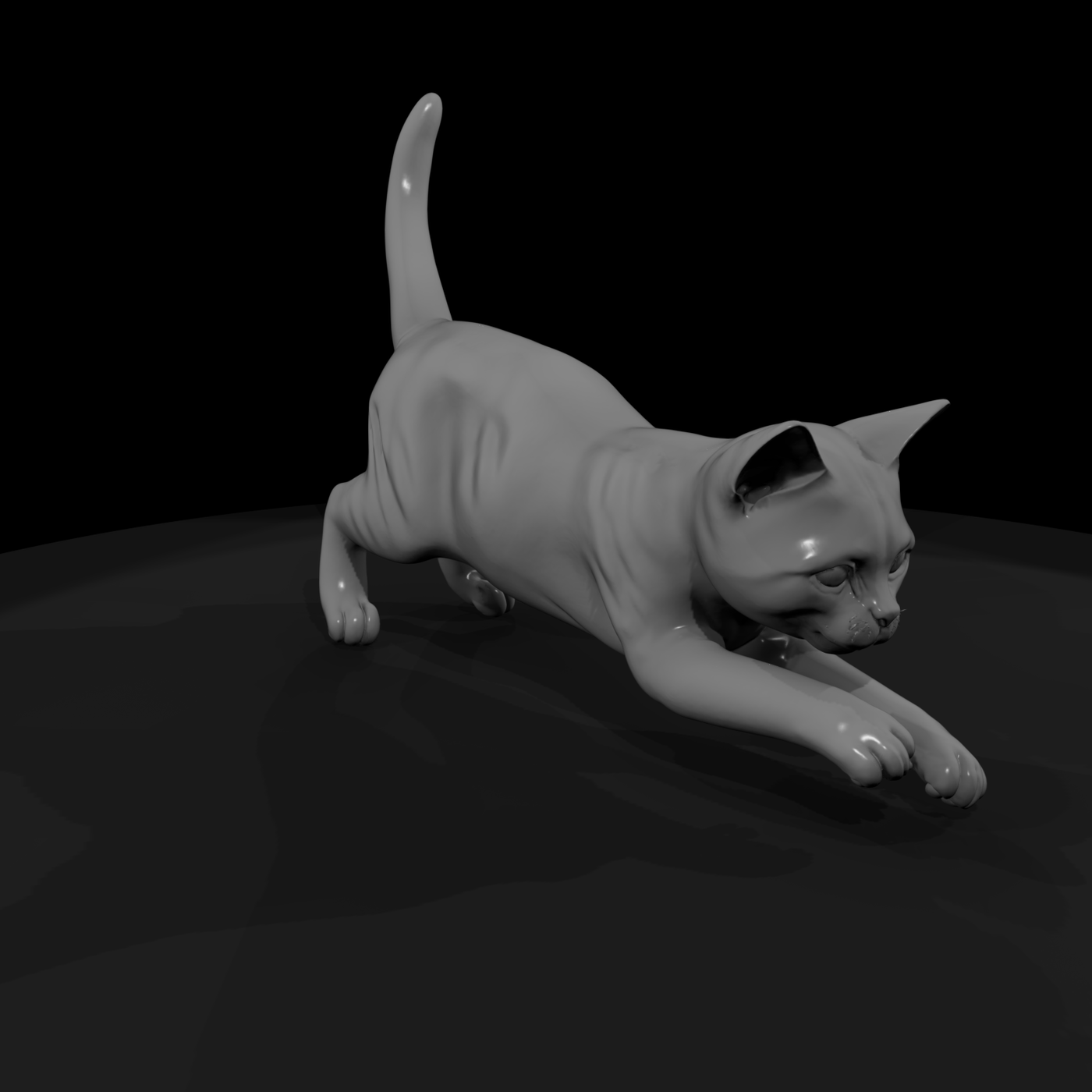 Playful Domestic Cat