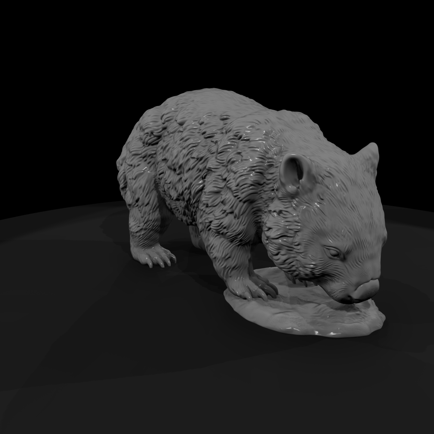 Ant 269 Common Wombat Female