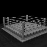 sportseq-12-boxing-ring-4879de — thumbnail 3