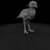 ant-294-secretary-bird-adolescent — thumbnail 3