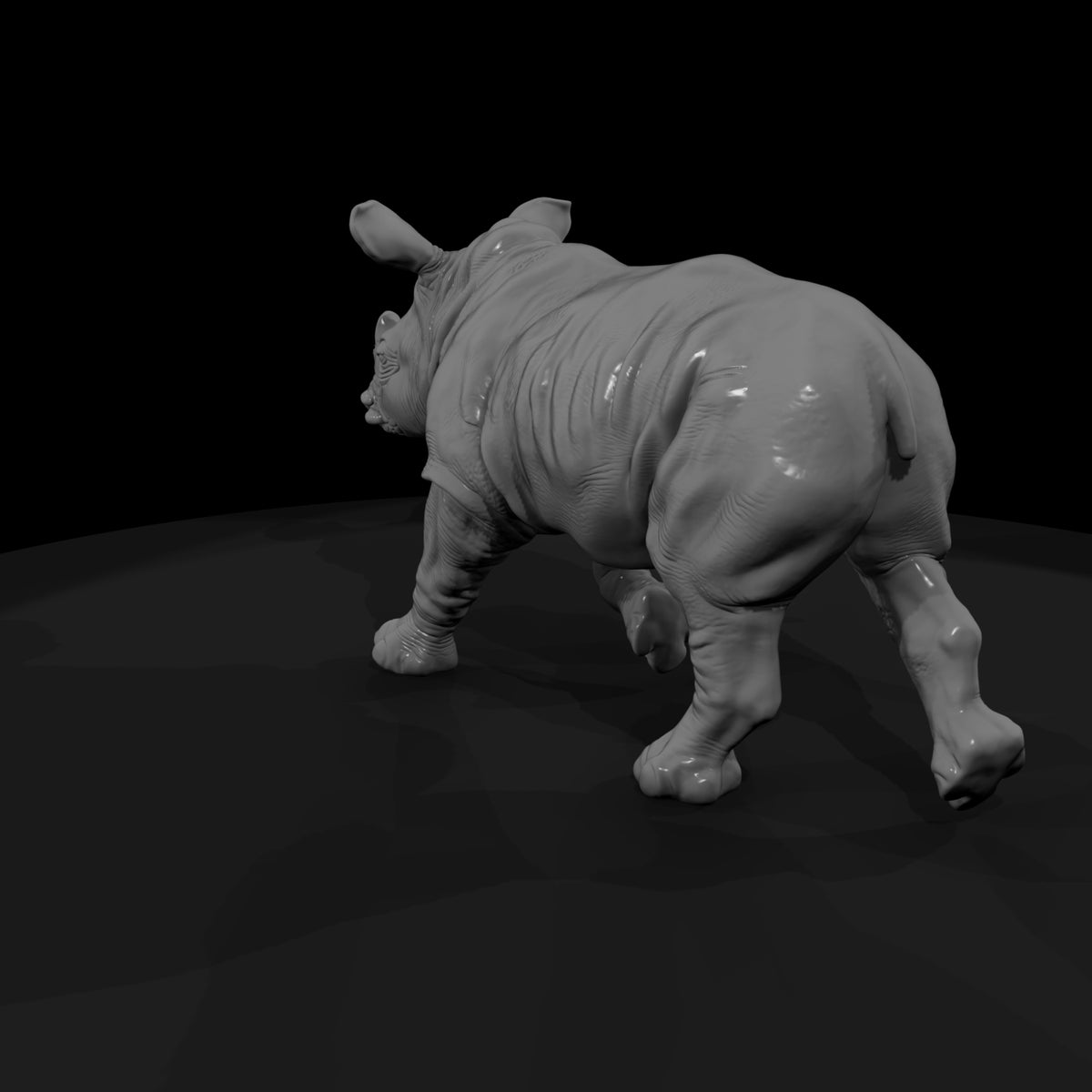 ant-033-white-rhinoceros-adolescent