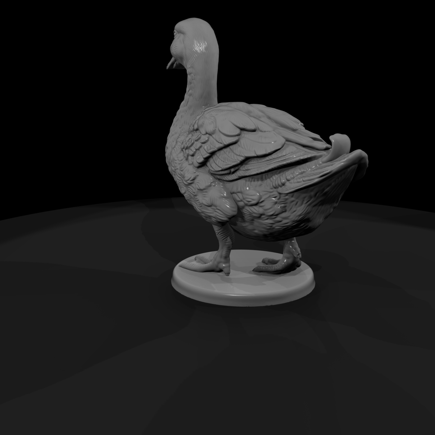 Ww 0310 Animal Duck