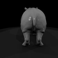 ant-036-hippopotamus-adolescent — thumbnail 3